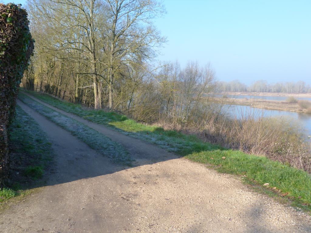 Les Gites De Colliers Muides-sur-Loire Pokój zdjęcie