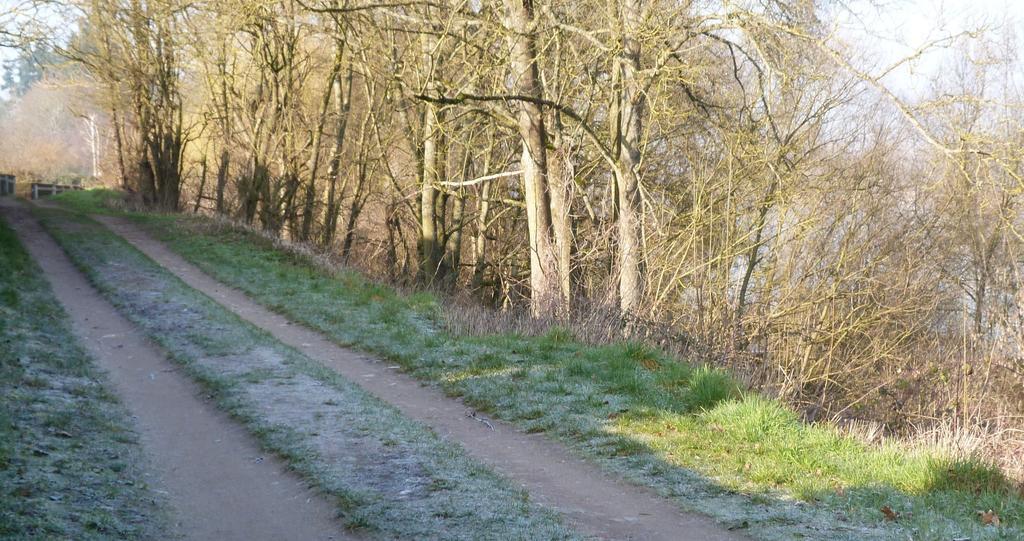 Les Gites De Colliers Muides-sur-Loire Pokój zdjęcie