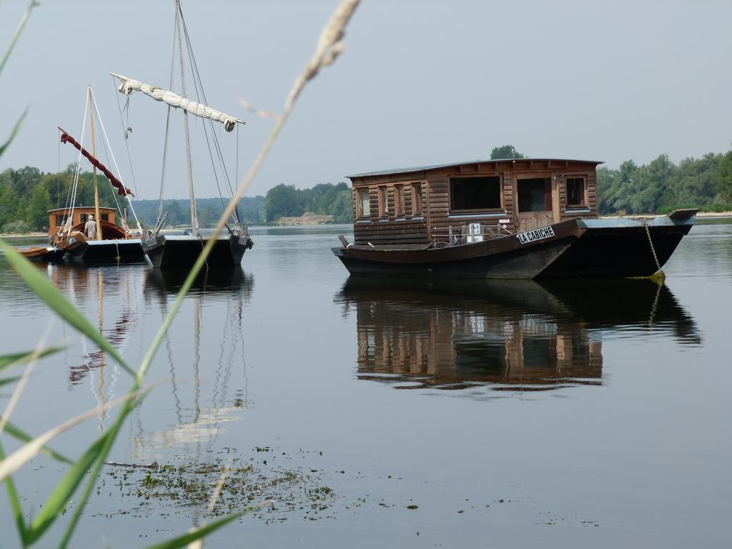 Les Gites De Colliers Muides-sur-Loire Zewnętrze zdjęcie